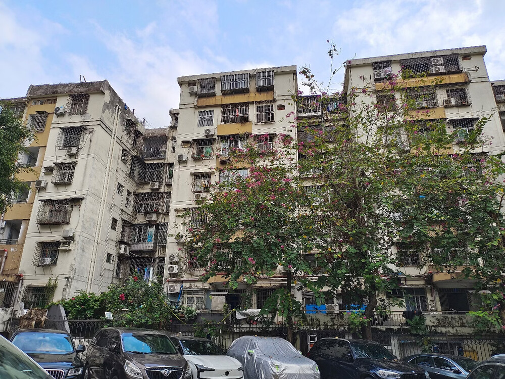 深圳市福田区红荔路园岭新村园岭新村88栋708