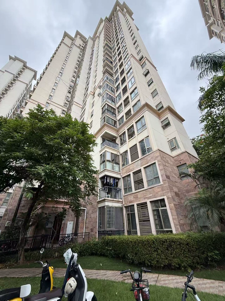 深圳市龙岗区龙岗镇新生村水岸新都19号楼1001