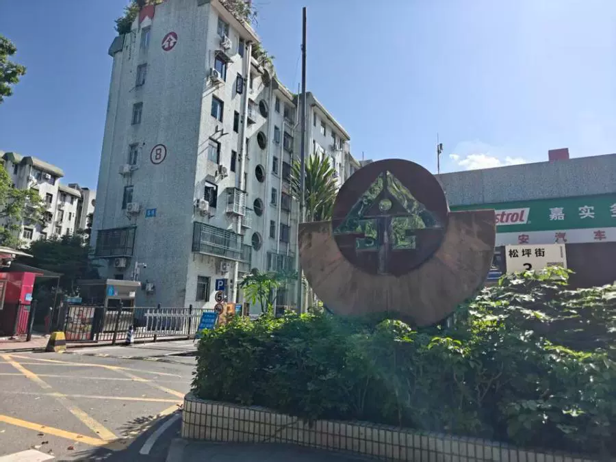 深圳市南山区深宝路松坪山住宅楼9栋703