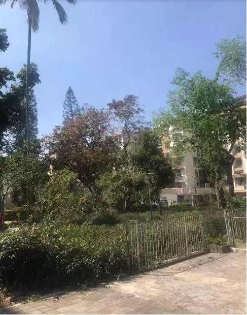 深圳市福田区园岭新路园岭新村园岭新村37栋810