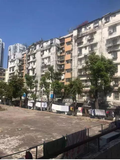 深圳市福田区园岭新路园岭新村园岭新村37栋810