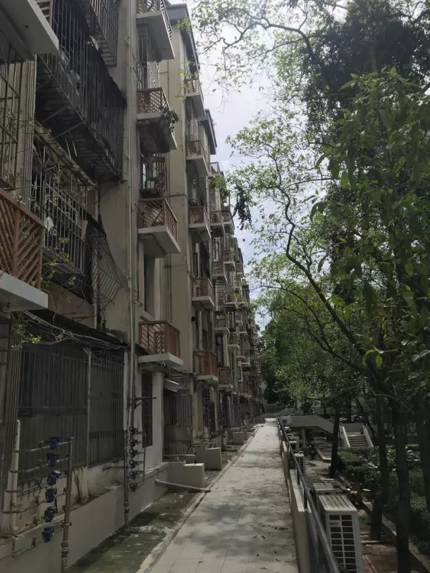 深圳市福田区红荔路园岭新村园岭新村27栋703