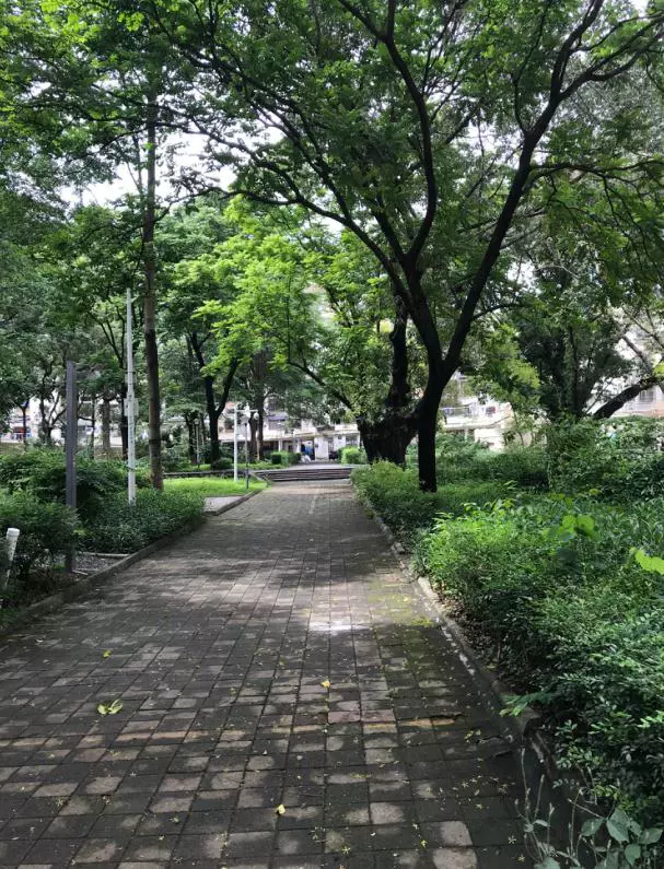 深圳市福田区红荔路园岭新村园岭新村27栋703
