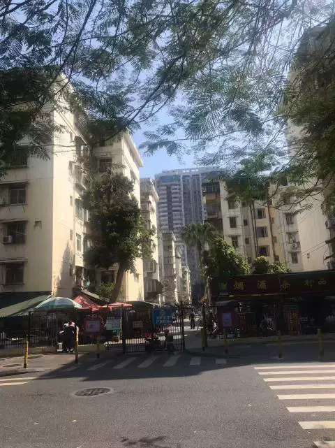 深圳市福田区园岭新路园岭新村园岭新村37栋810