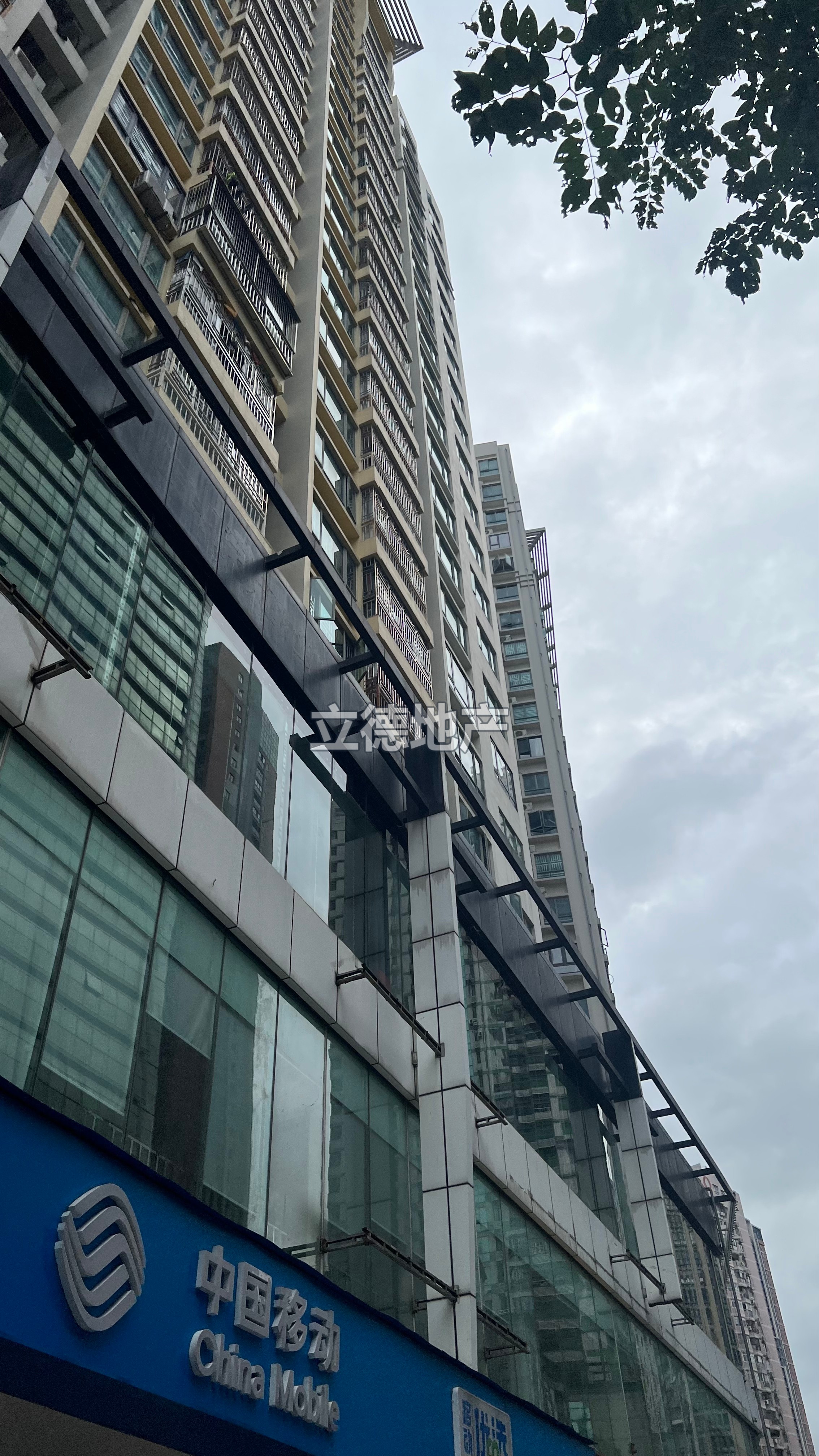 深港豪苑