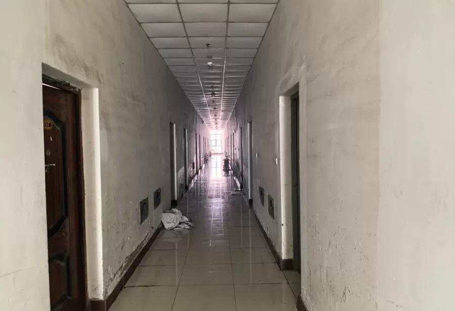 上海市奉贤区南奉公路6085号309室