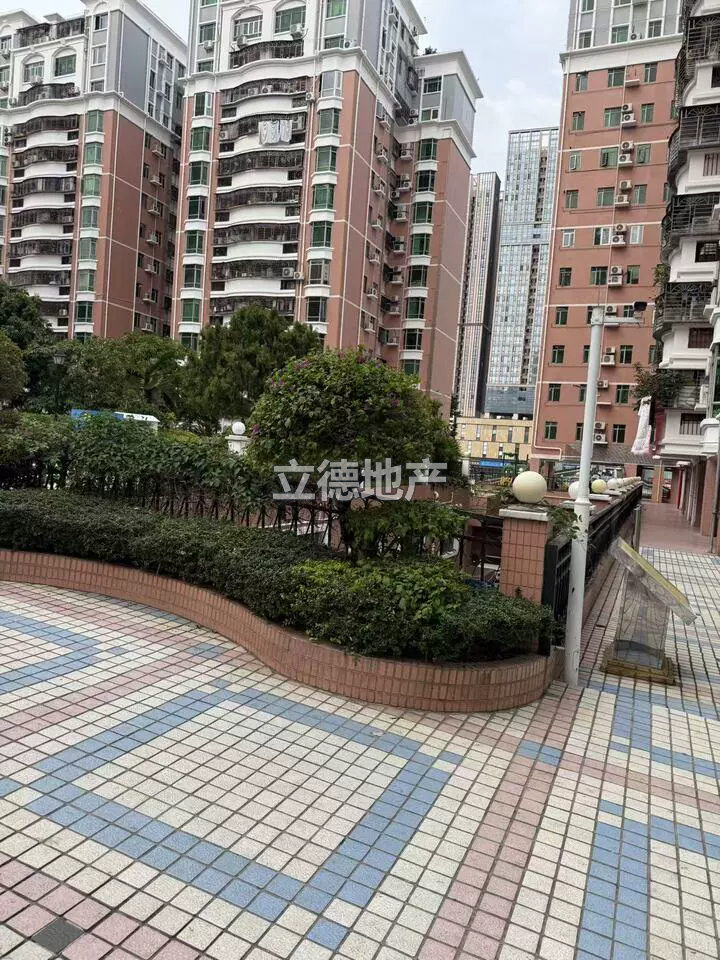 深圳市宝安区新安街道宝城49区上川路泰华锦绣城1栋9-13A