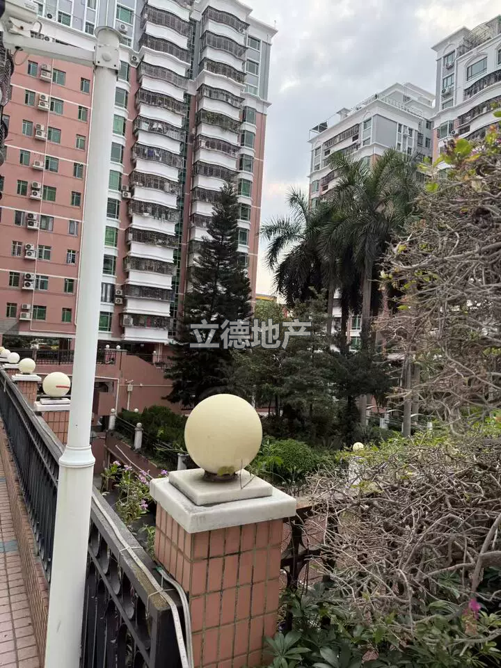 深圳市宝安区新安街道宝城49区上川路泰华锦绣城1栋9-13A