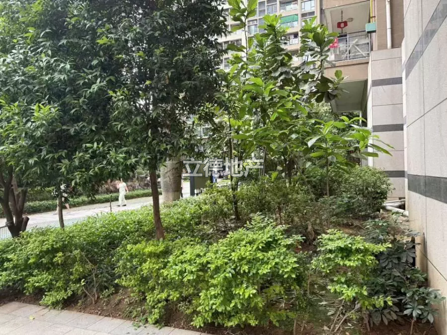 深圳市光明新区光明高新西区科发路西侧、十七号路南侧盛迪嘉光明壹号花园（二期）1号楼A座2602