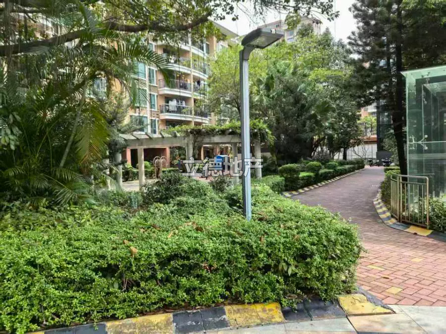 深圳市光明区人民法院关于拍卖广东省深圳市宝安区公明街道红花北路宏发*雍景城B栋12座B