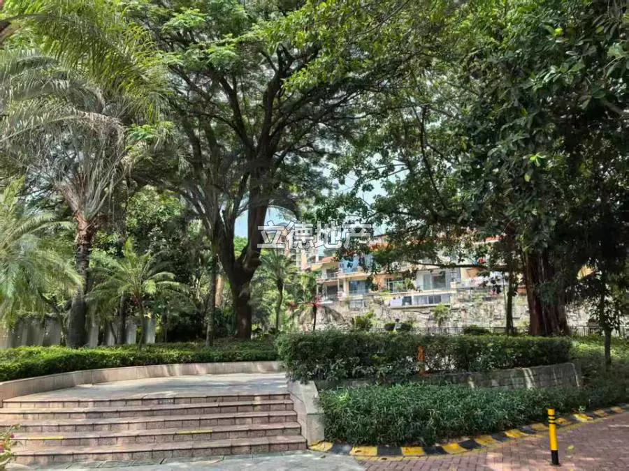 深圳市光明区人民法院关于拍卖广东省深圳市宝安区公明街道红花北路宏发*雍景城B栋12座B