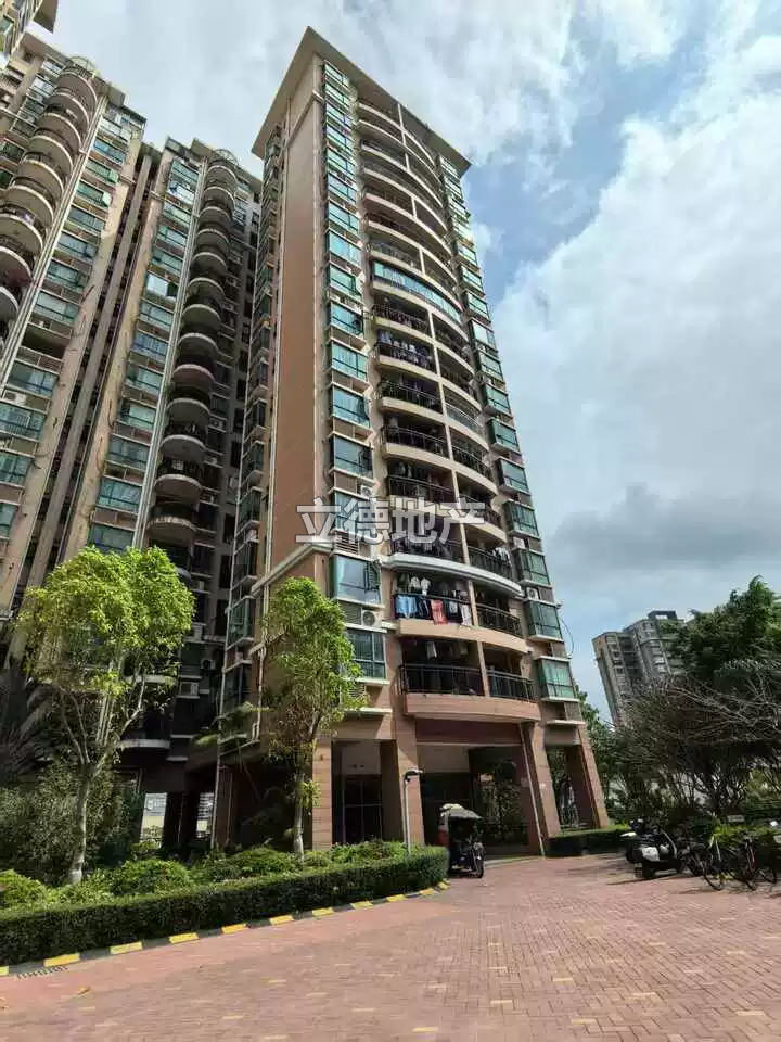 深圳市光明区人民法院关于拍卖广东省深圳市宝安区公明街道红花北路宏发*雍景城B栋12座B