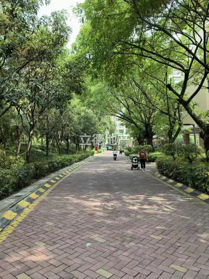 深圳市光明区人民法院关于拍卖广东省深圳市宝安区公明街道红花北路宏发*雍景城B栋12座B