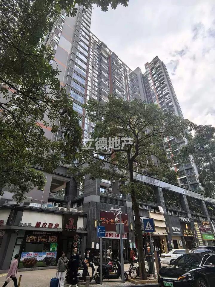 深圳市福田区沙头街道新洲嘉葆润金座家园(二期)润泽轩1405