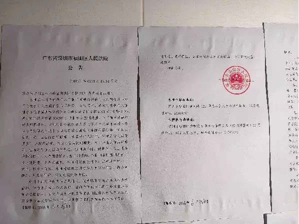 深圳市罗湖区布心路宝湖名园2栋2101