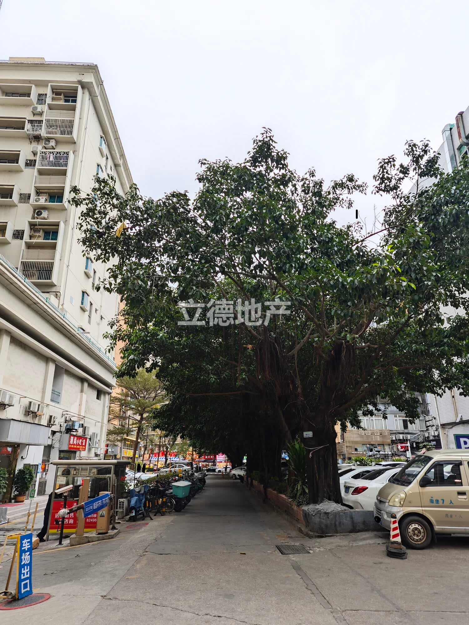 旭飞花园