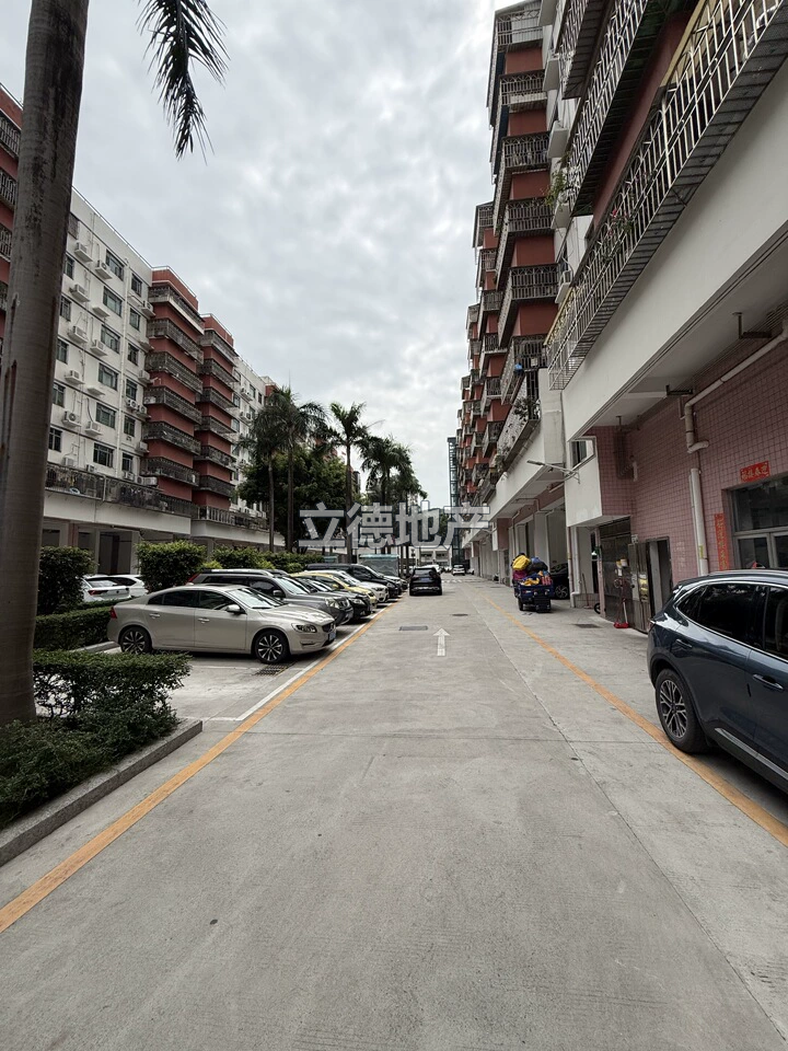 深圳市宝安区宝城73区锦花路福安楼一栋B座706