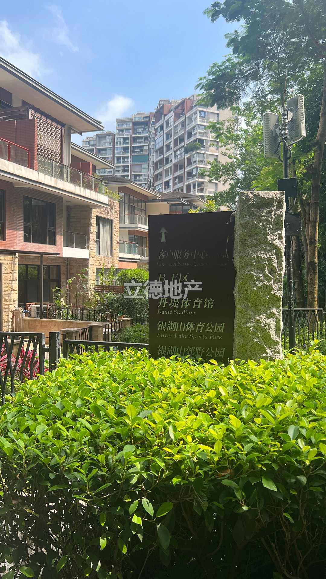 星河丹堤