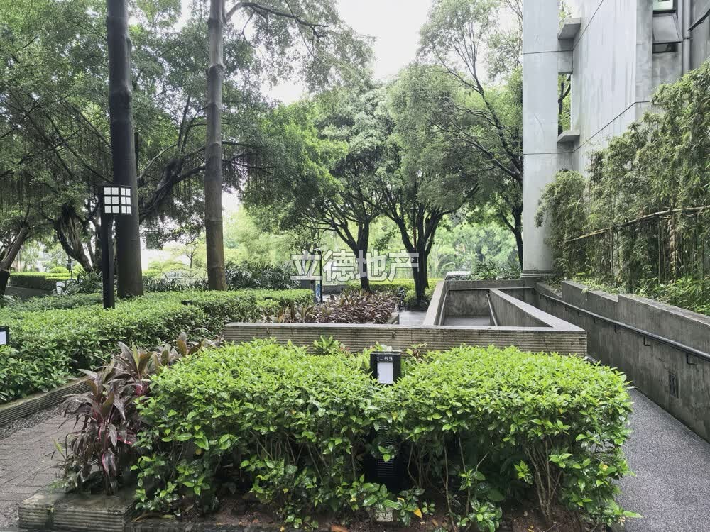 深圳市龙岗区布吉镇第五园M3栋A单元A501