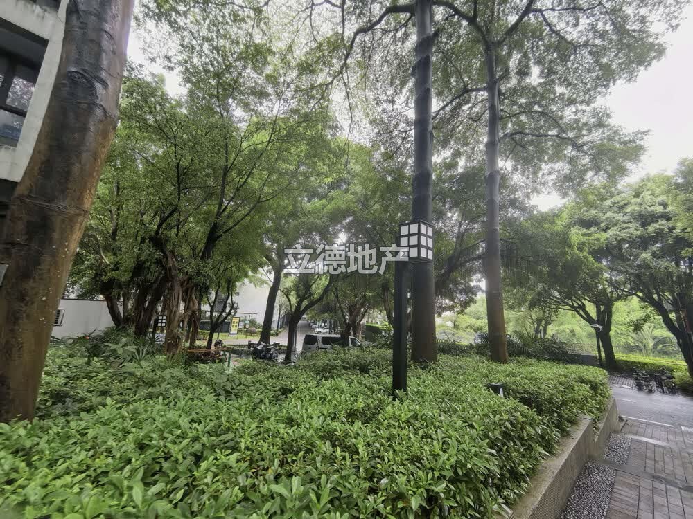 深圳市龙岗区布吉镇第五园M3栋A单元A501