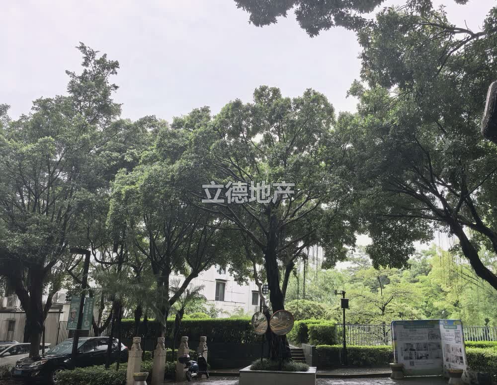 深圳市龙岗区布吉镇第五园M3栋A单元A501