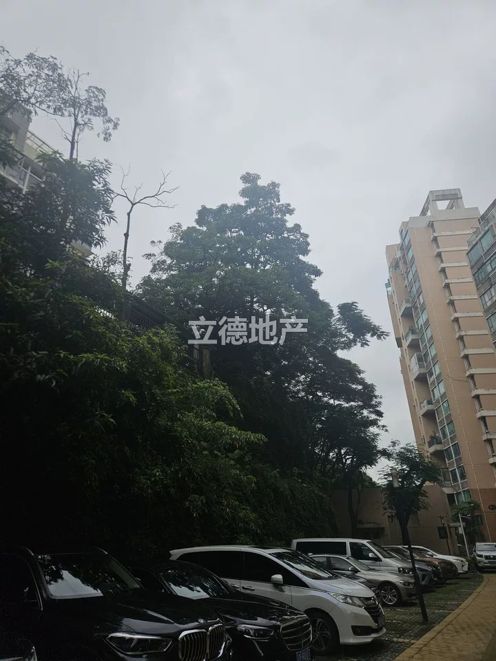深圳市宝安区宝城115区西乡大道北侧御龙居7栋C单元501