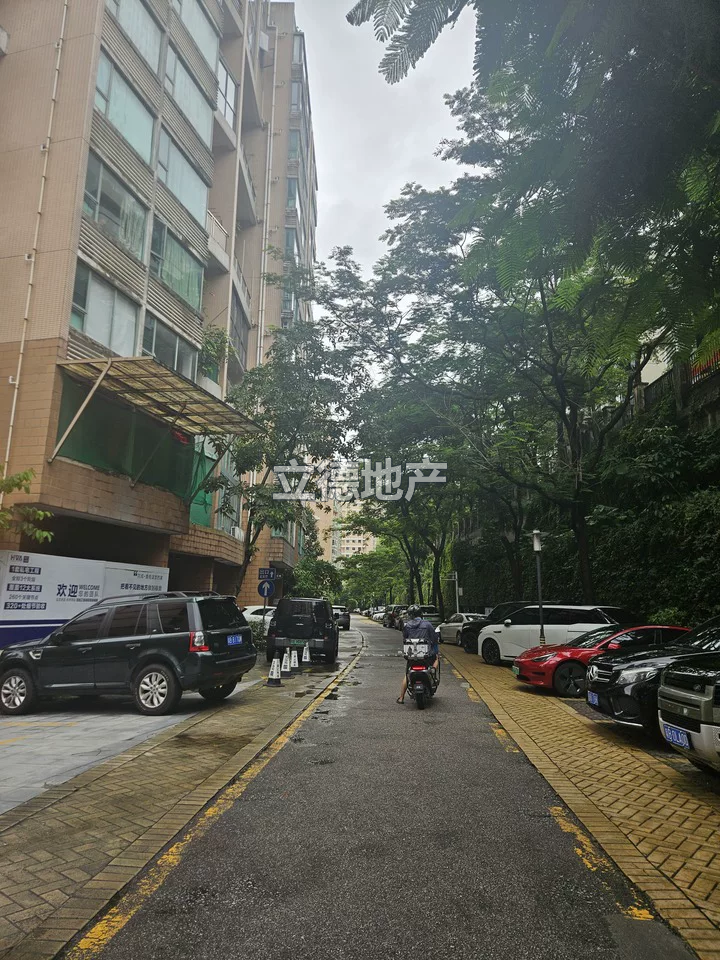 深圳市宝安区宝城115区西乡大道北侧御龙居7栋C单元501
