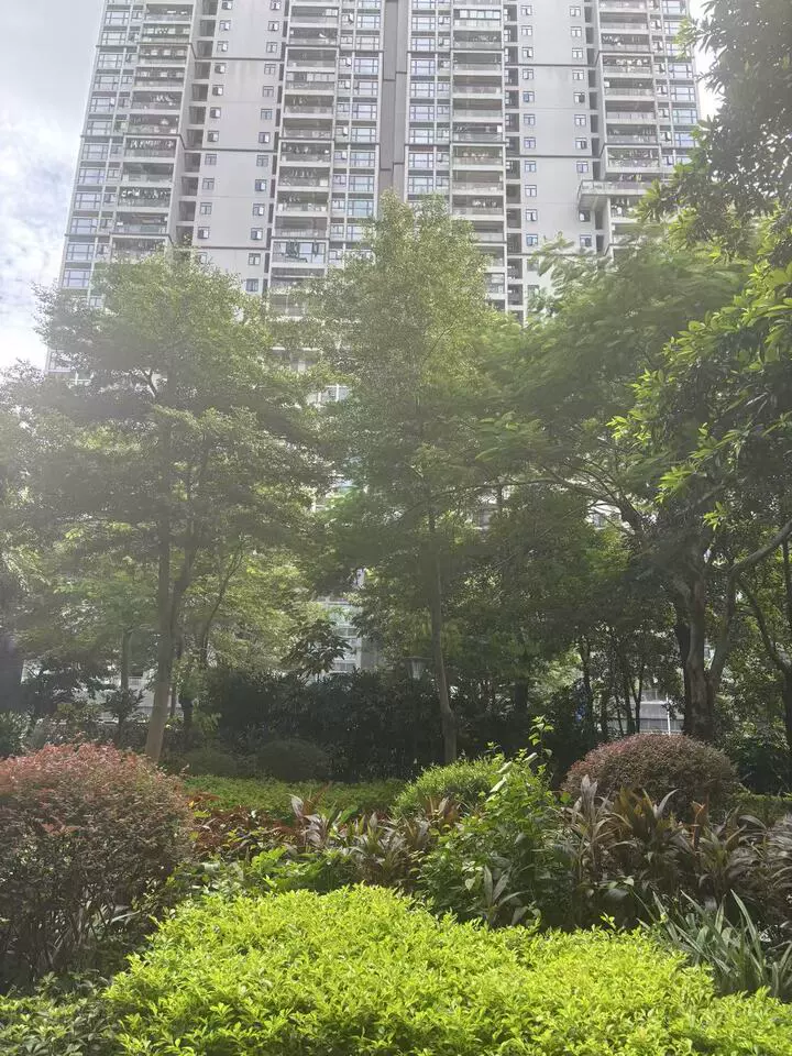 深圳市光明大道与河心南路交汇处东南侧新地中央花园1号楼A2单元23b