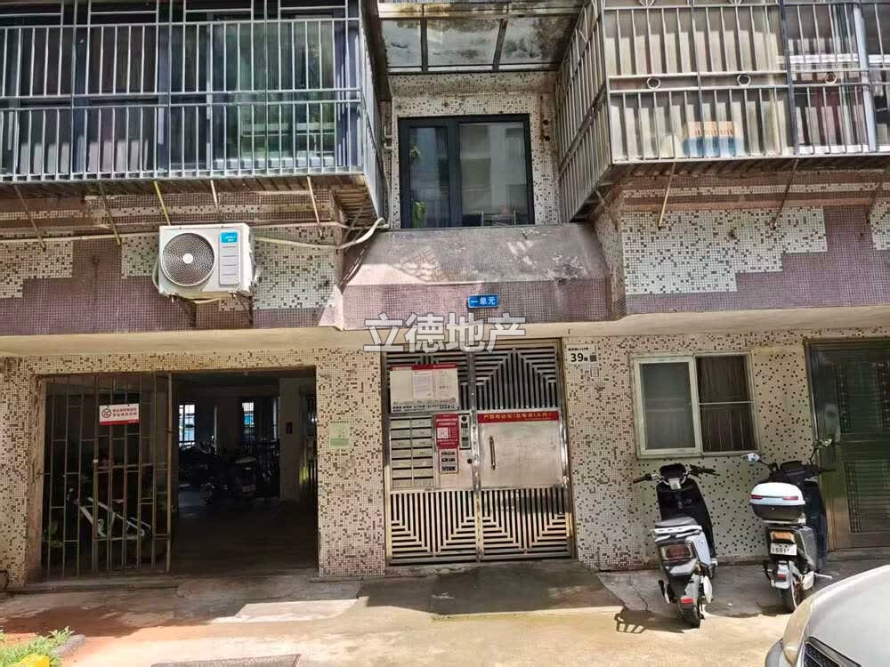 深圳市福田区莲花路莲花北39栋502