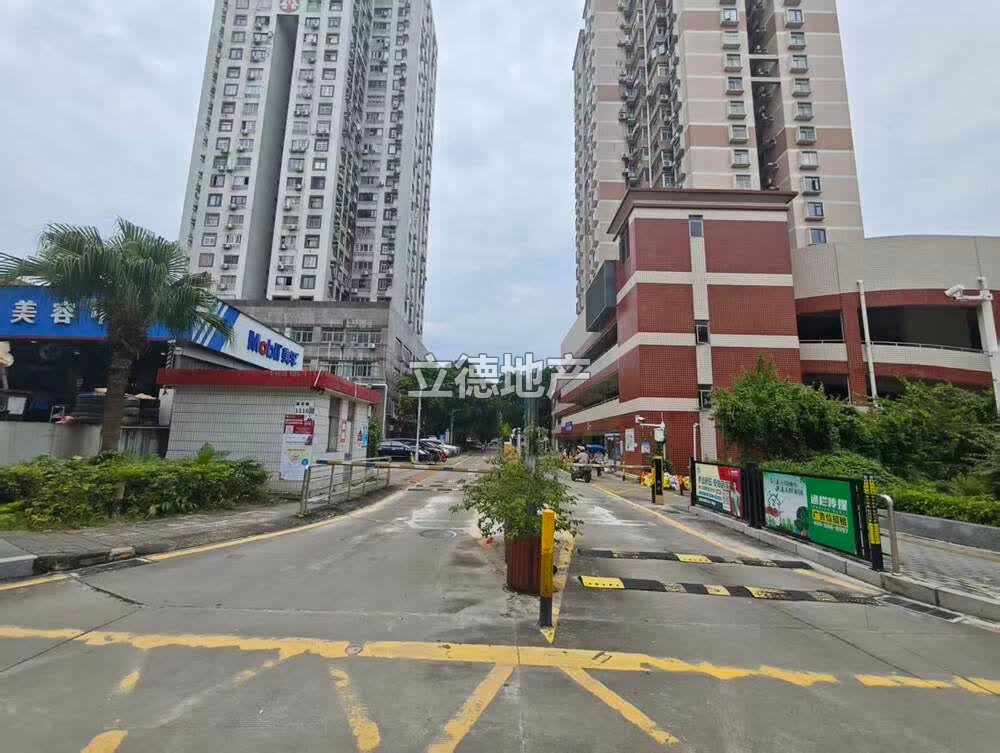 深圳市福田区莲花路莲花北39栋502