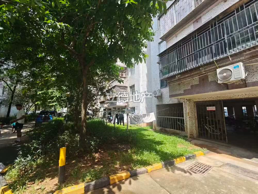 深圳市福田区莲花路莲花北39栋502