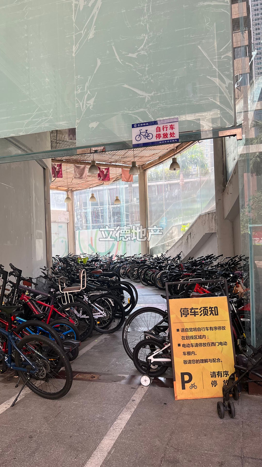 新新家园