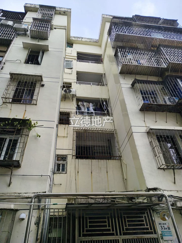 深圳市红荔路园岭新村园岭新村31栋208