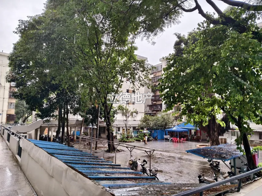 深圳市红荔路园岭新村园岭新村31栋208