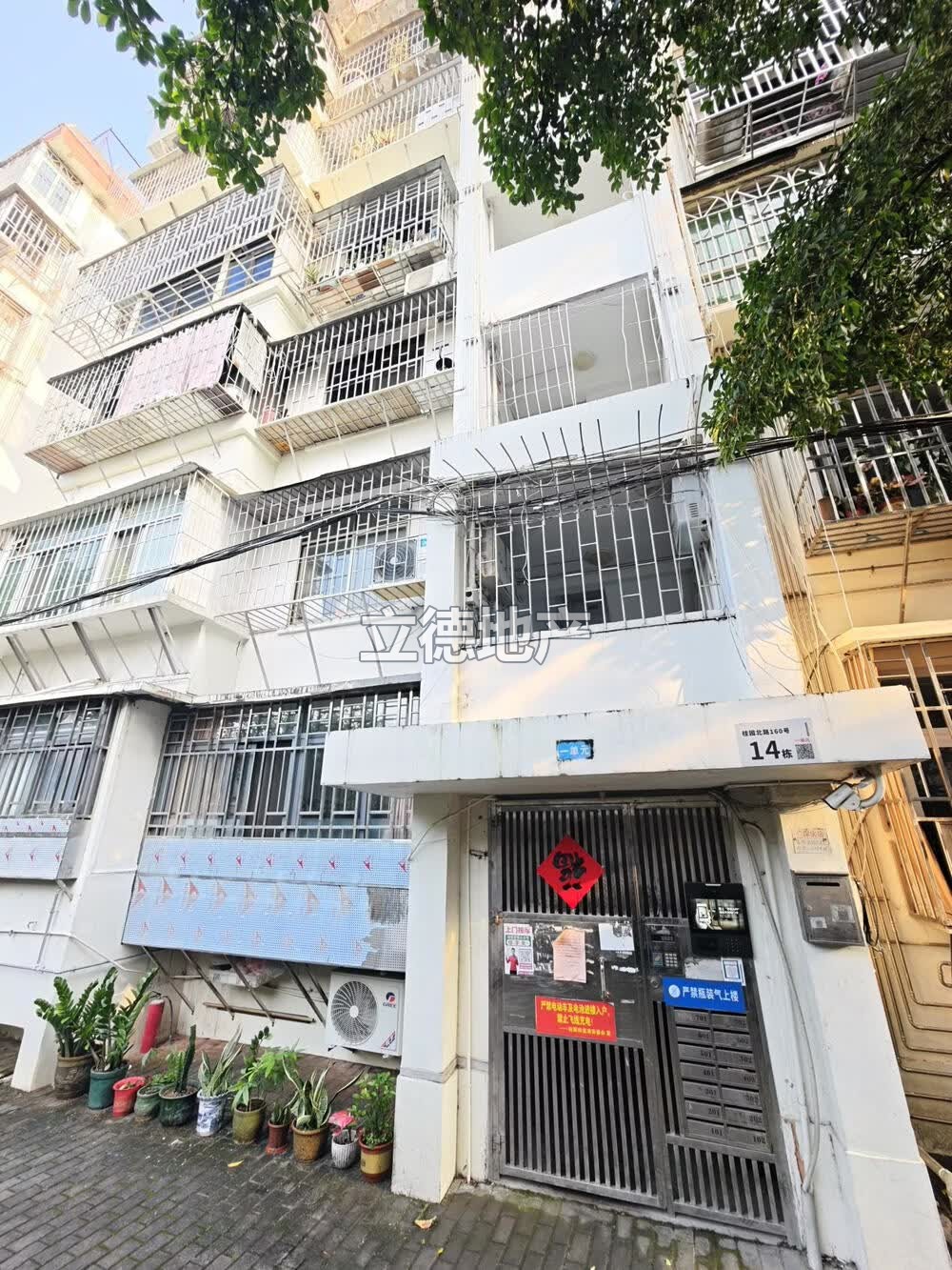 深圳市罗湖区宝安路松园东五巷桂园北路160号14栋(原松园东五巷2栋)