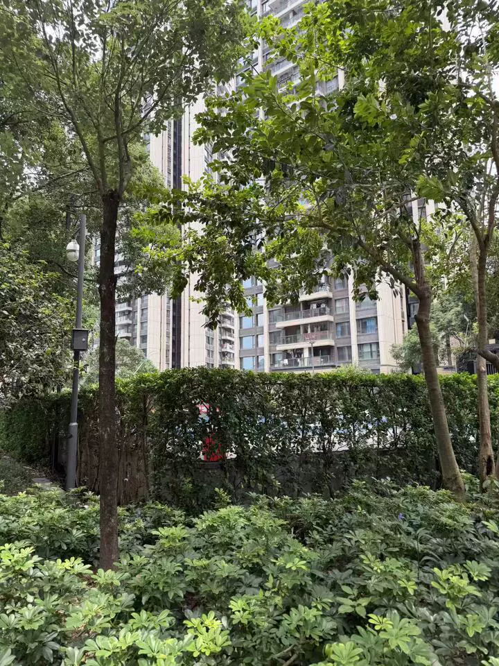 深圳市光明新区高新技术园区东片区,观光路与光明大道交汇处南侧龙光玖龙台一期1栋C座1901