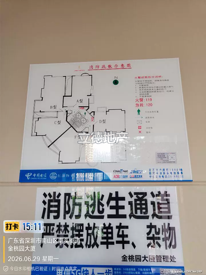 深圳市南山区南新路以西、桃园路以南金桃园一期一单元06D