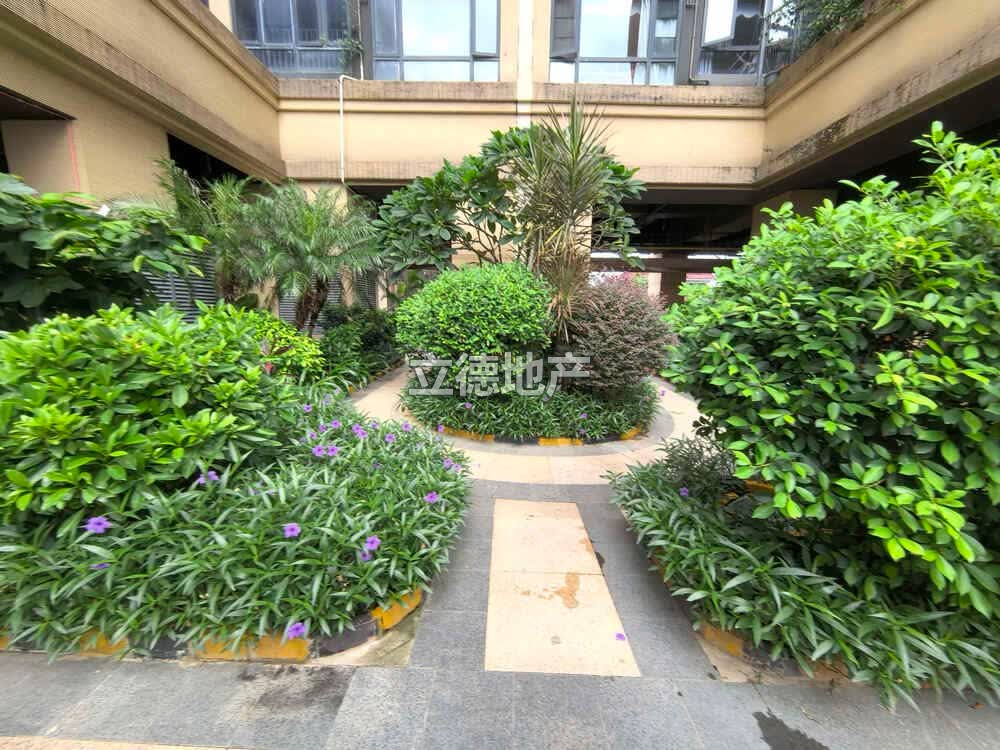 深圳市龙岗区龙城街道爱联社区中粮祥云广场1栋D座2401