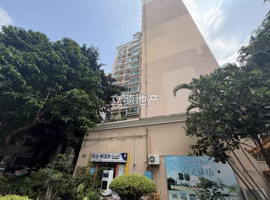 深圳市宝安区新安办翻身路新锦安雅园B1-B4栋B1座802
