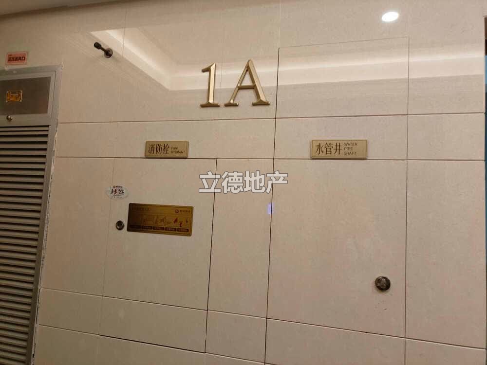深圳市龙岗区宝龙街道恒裕珑城八仙府6栋3单元102
