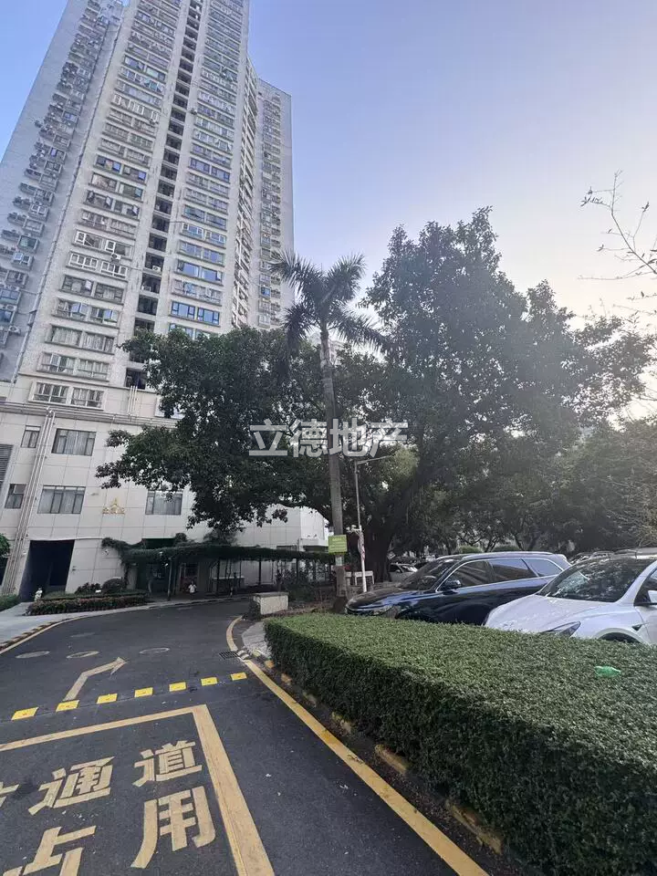 深圳市南山区南油大道与学府路交汇处荟芳园银桦阁B栋26A