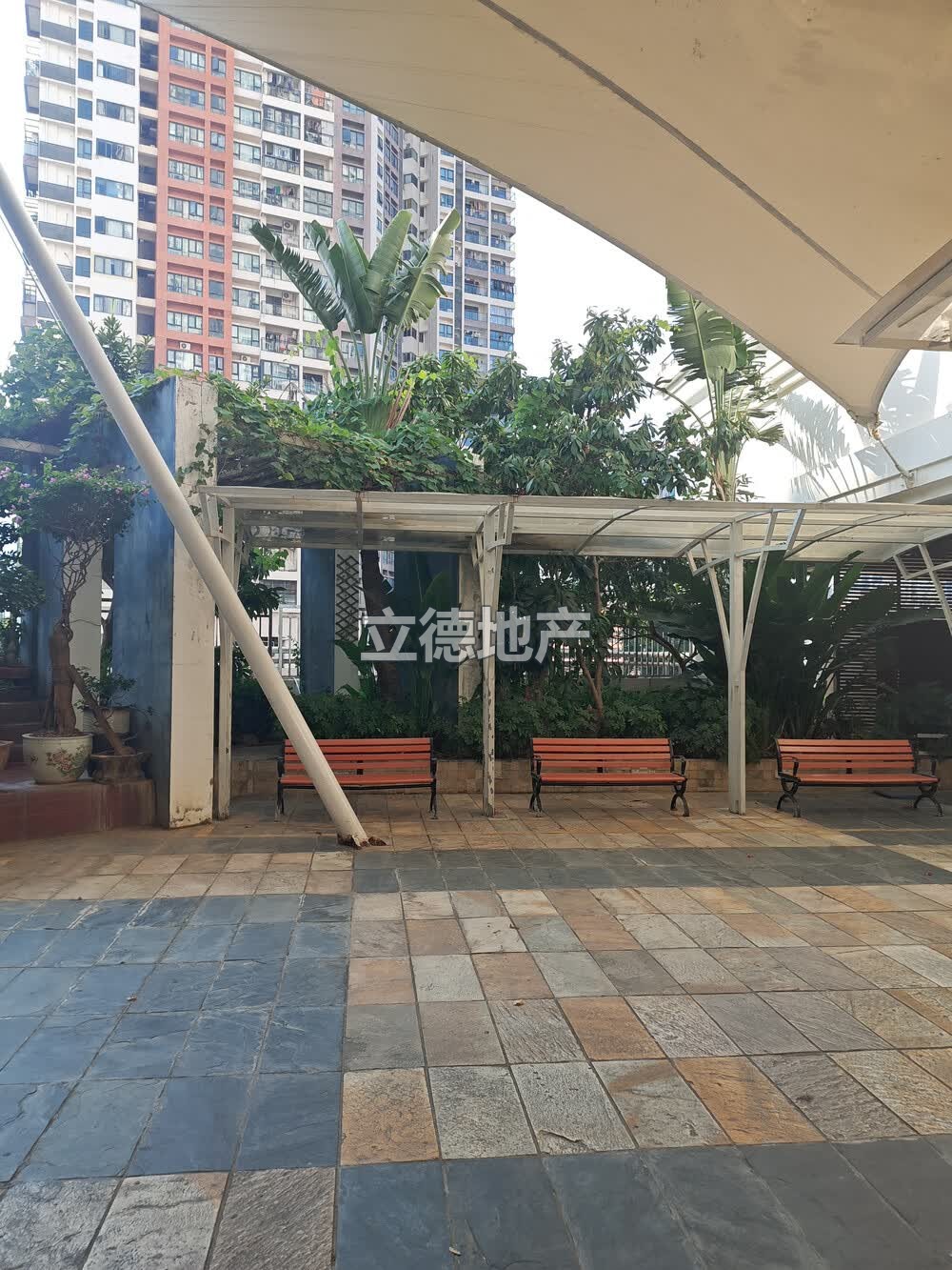 深圳市罗湖区翠竹路逸翠园(二期)星空台2401