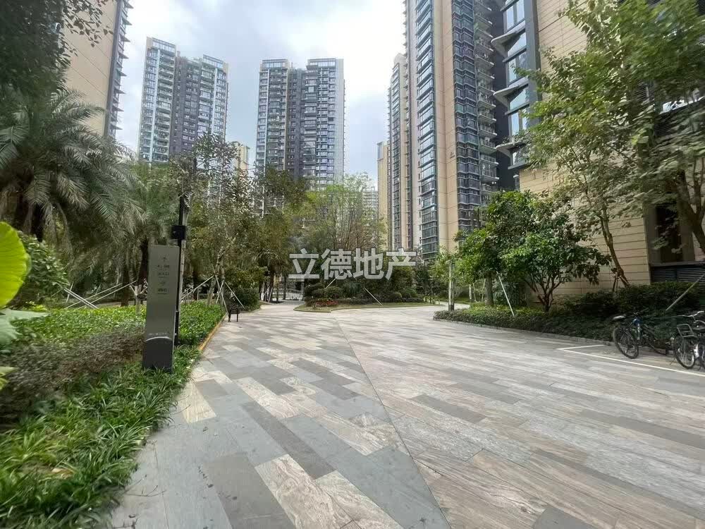 深圳市龙岗区龙城街道颐安都会中央花园(五区)3栋D座30B