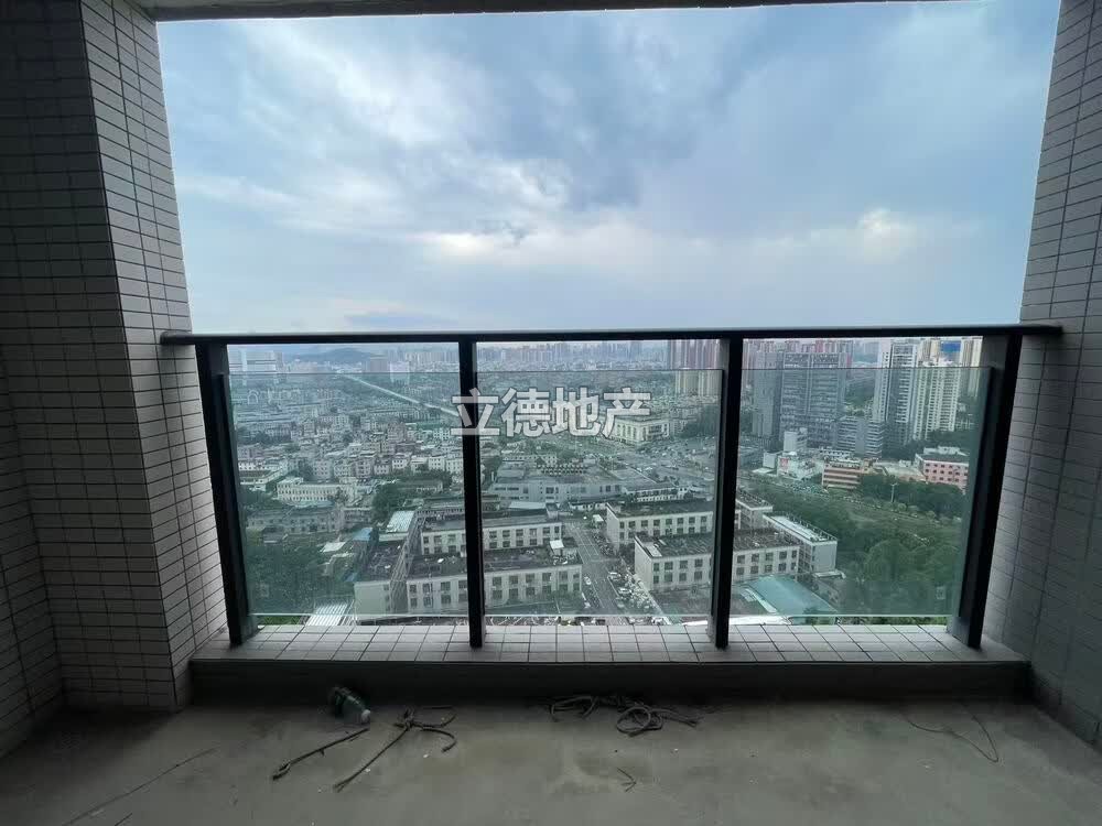 深圳市龙岗区坪地街道君胜熙珑山花园5栋D座房产共56套