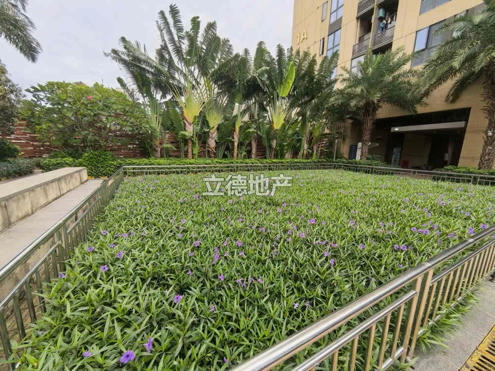 深圳市龙岗区龙城街道爱联社区中粮祥云广场1栋D座2401