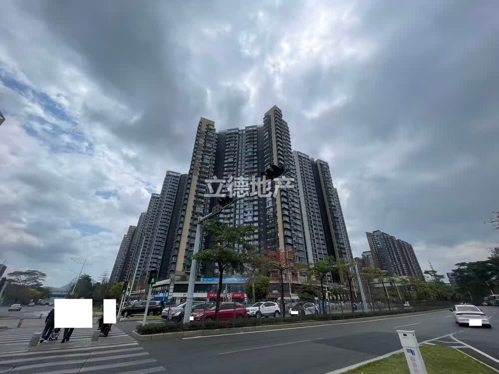 深圳市龙岗区龙城街道颐安都会中央花园(五区)3栋D座30B