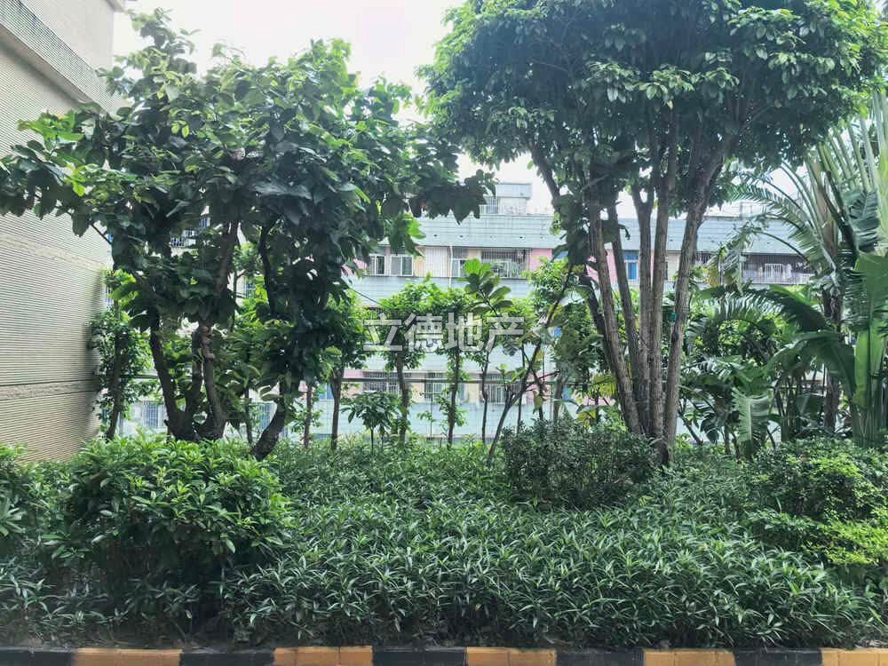 深圳市龙岗区龙城街道爱联社区中粮祥云广场1栋D座2401