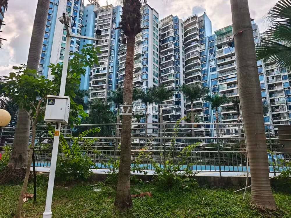 深圳市宝安区龙华街道东环二路东侧城市明珠花园21栋11D