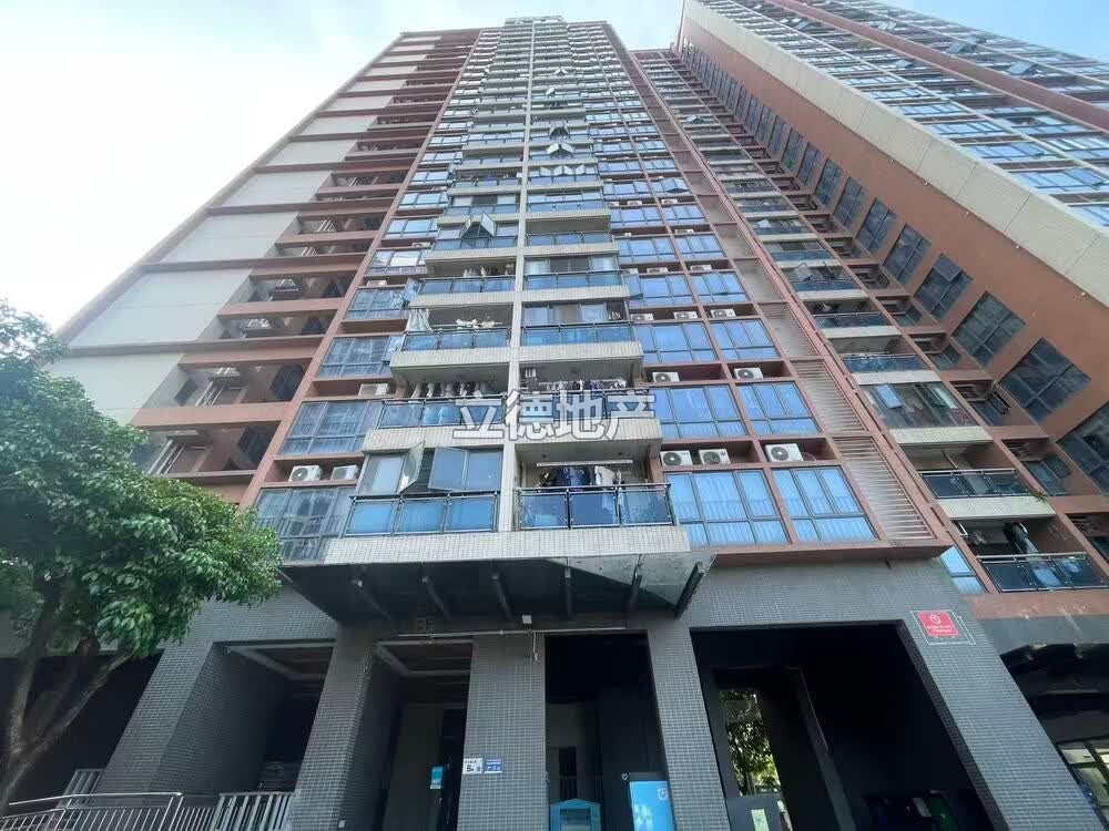 深圳市龙岗区布吉镇阳基新天地家园1栋B座9B