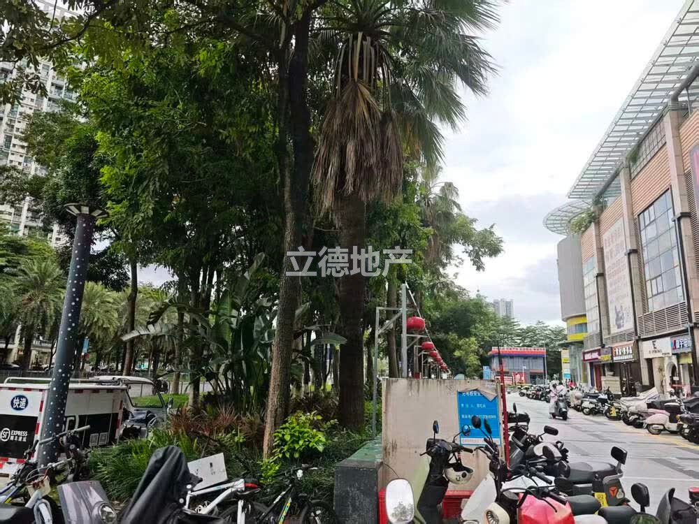 深圳市宝安区新安街道N5区德业新城花园A区1-2号楼2座101号铺